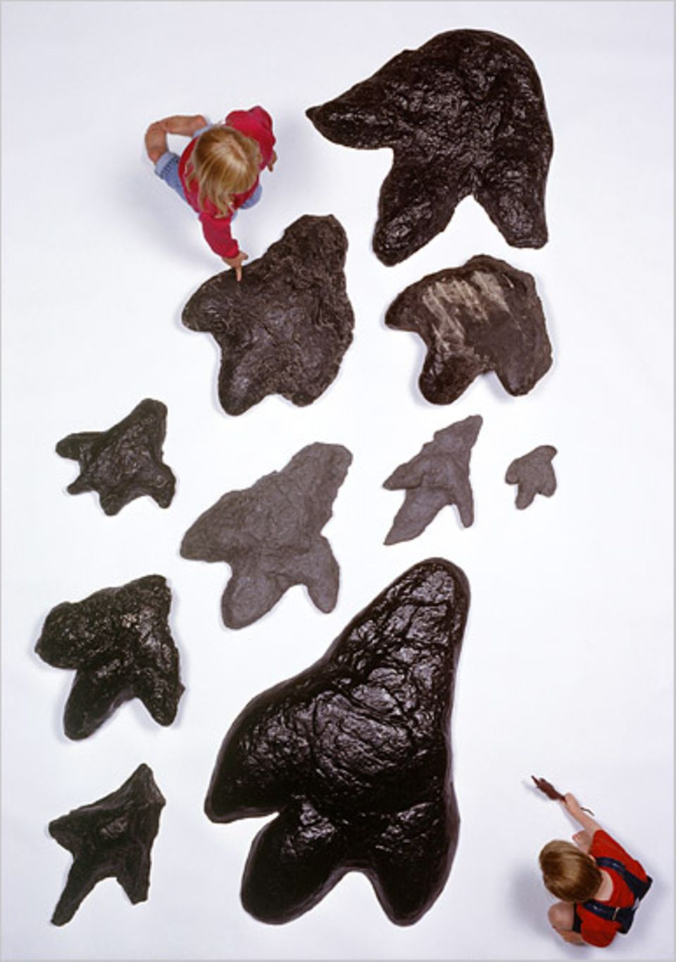 Kreationisten zweifeln nicht nur das Alter von Dinosaurierfossilien an (hier Fußabdrücke aus amerikanischen Kohleminen). Sie glauben auch, dass sie und die ersten Menschen die Erde gleichzeitig bevölkerten Kreationisten zweifeln nicht nur das Alter von Dinosaurierfossilien an (hier Fußabdrücke aus amerikanischen Kohleminen). Sie glauben auch, dass sie und die ersten Menschen die Erde gleichzeitig bevölkerten