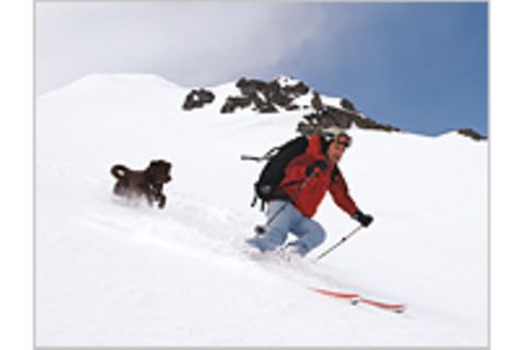 Skitrend: Parallelschwung mit dem Hund