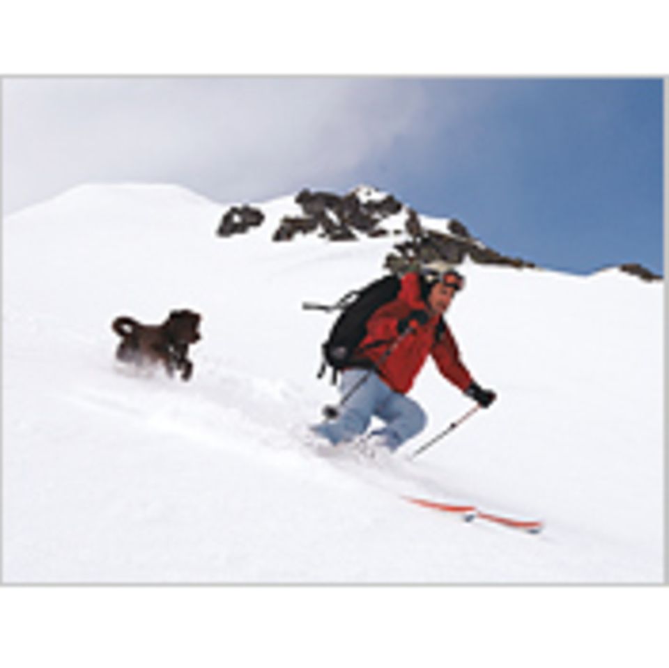 Skitrend: Parallelschwung mit dem Hund