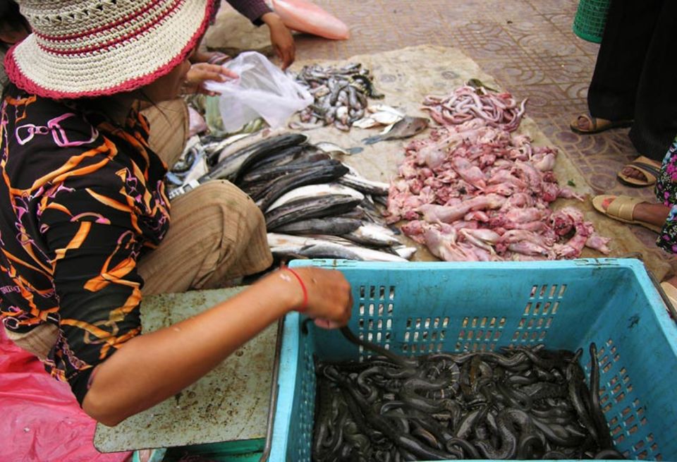 Ein Markt in der Nähe von Chong Khneas. Im Angebot: Wasserschlangen, Fisch und Ratten – für Tier und Mensch Ein Markt in der Nähe von Chong Khneas. Im Angebot: Wasserschlangen, Fisch und Ratten – für Tier und Mensch