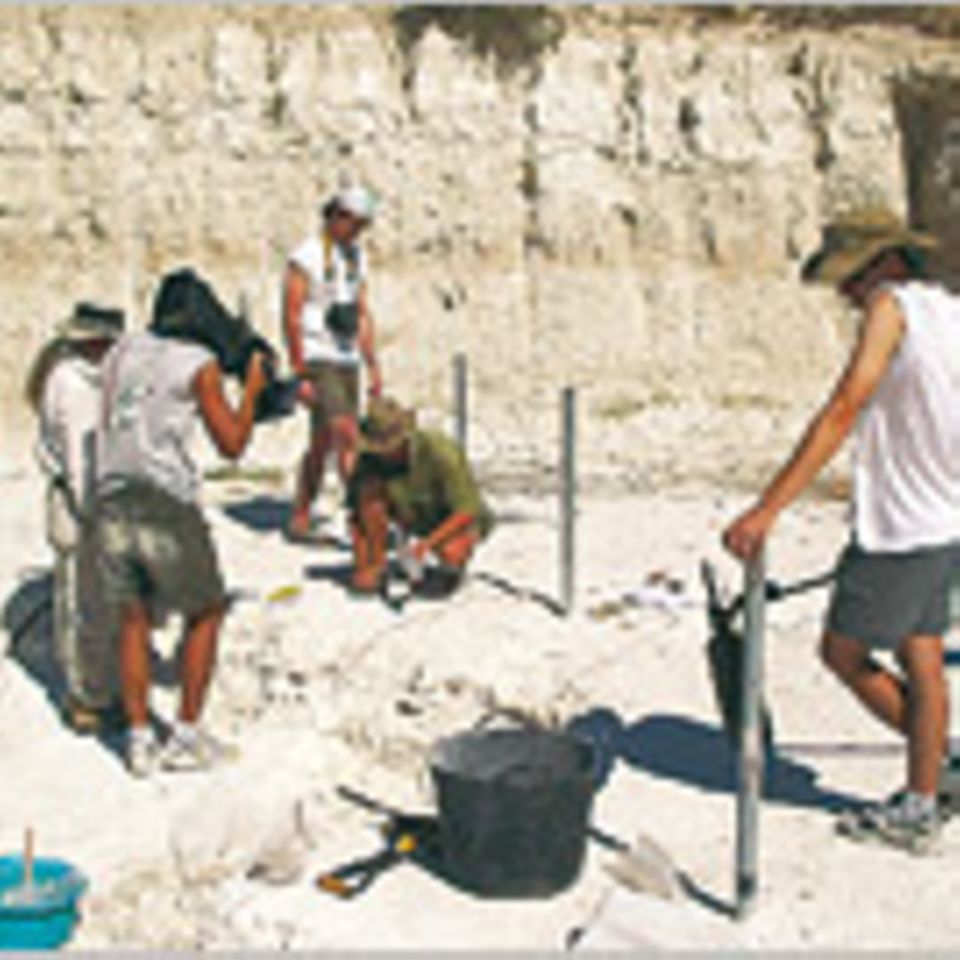 Archäologie: Schatzsuche für die Wissenschaft