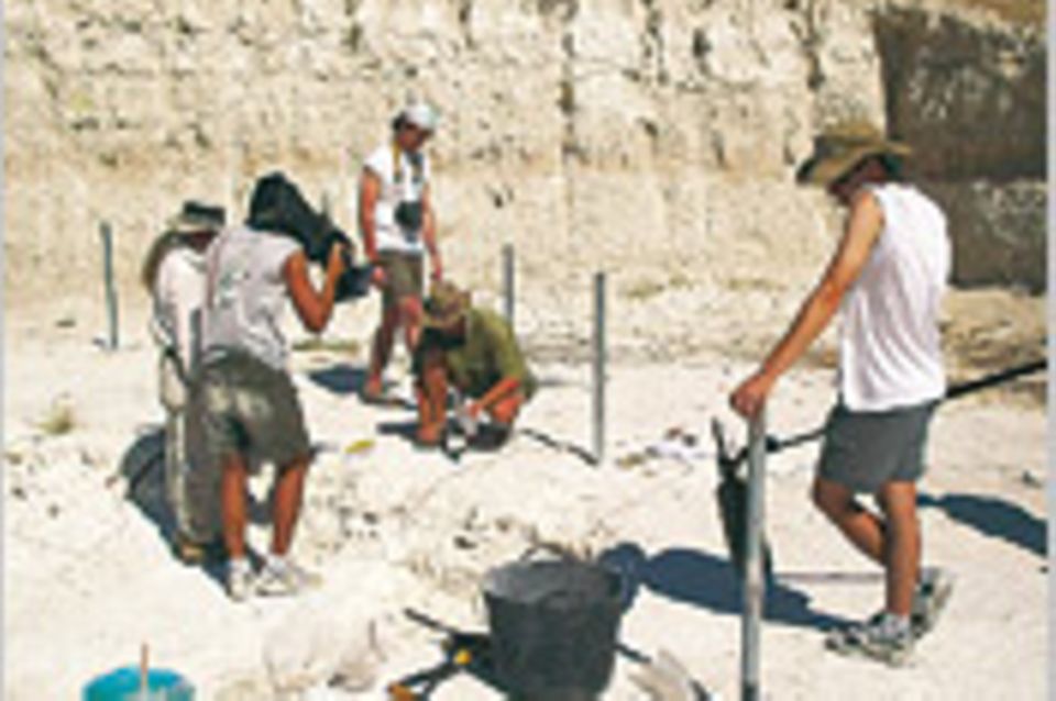 Archäologie: Schatzsuche für die Wissenschaft