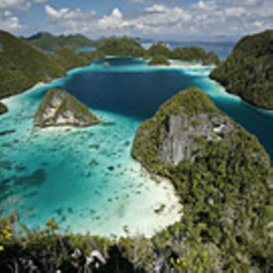 Raja Ampat, das blaue Wunder