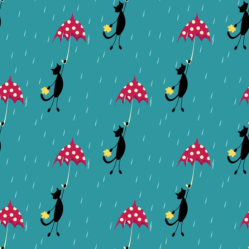 Englische Redewendung: It is raining cats and dogs
