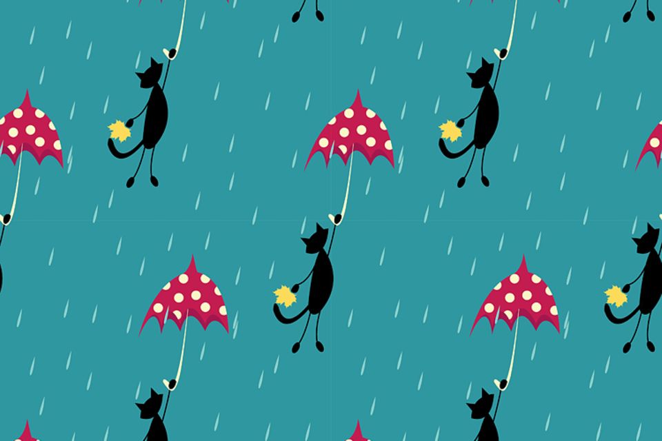 Englische Redewendung: It is raining cats and dogs