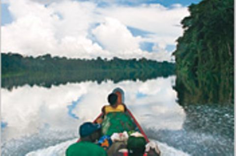 Suriname: Im Einbaum durch den Urwald