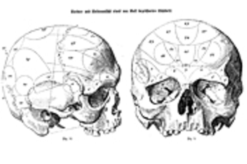 Das Gehirn: Phrenologie