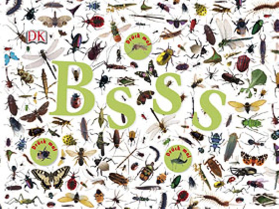 Buchtipp: Bsss – die ganze Welt der Insekten Buchtipp: Bsss – die ganze Welt der Insekten