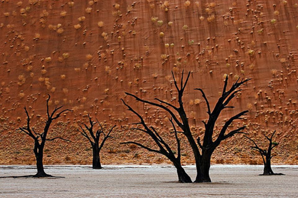 Schiebpuzzle: Nr. 5: Namib-Wüste Schiebpuzzle: Nr. 5: Namib-Wüste