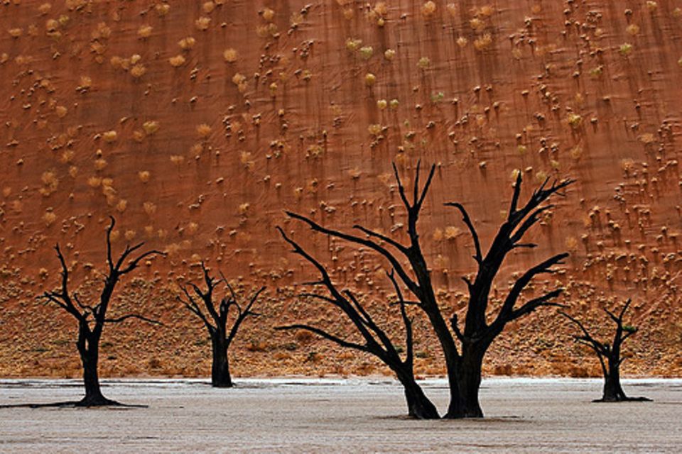 Schiebpuzzle: Namib-Wüste