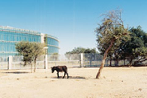Gaborone: Botswanas reiche Metropole