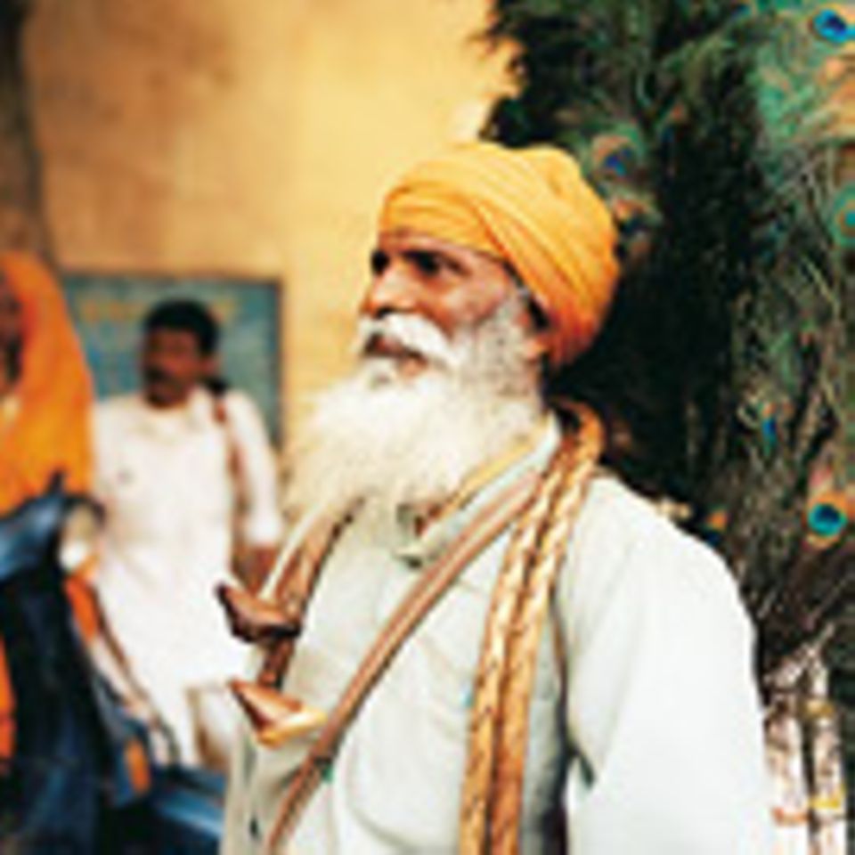 Rajasthan: Im Land der Schmetterlingsfarben