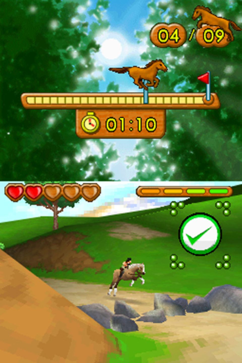 Das schwarze Wildpferd