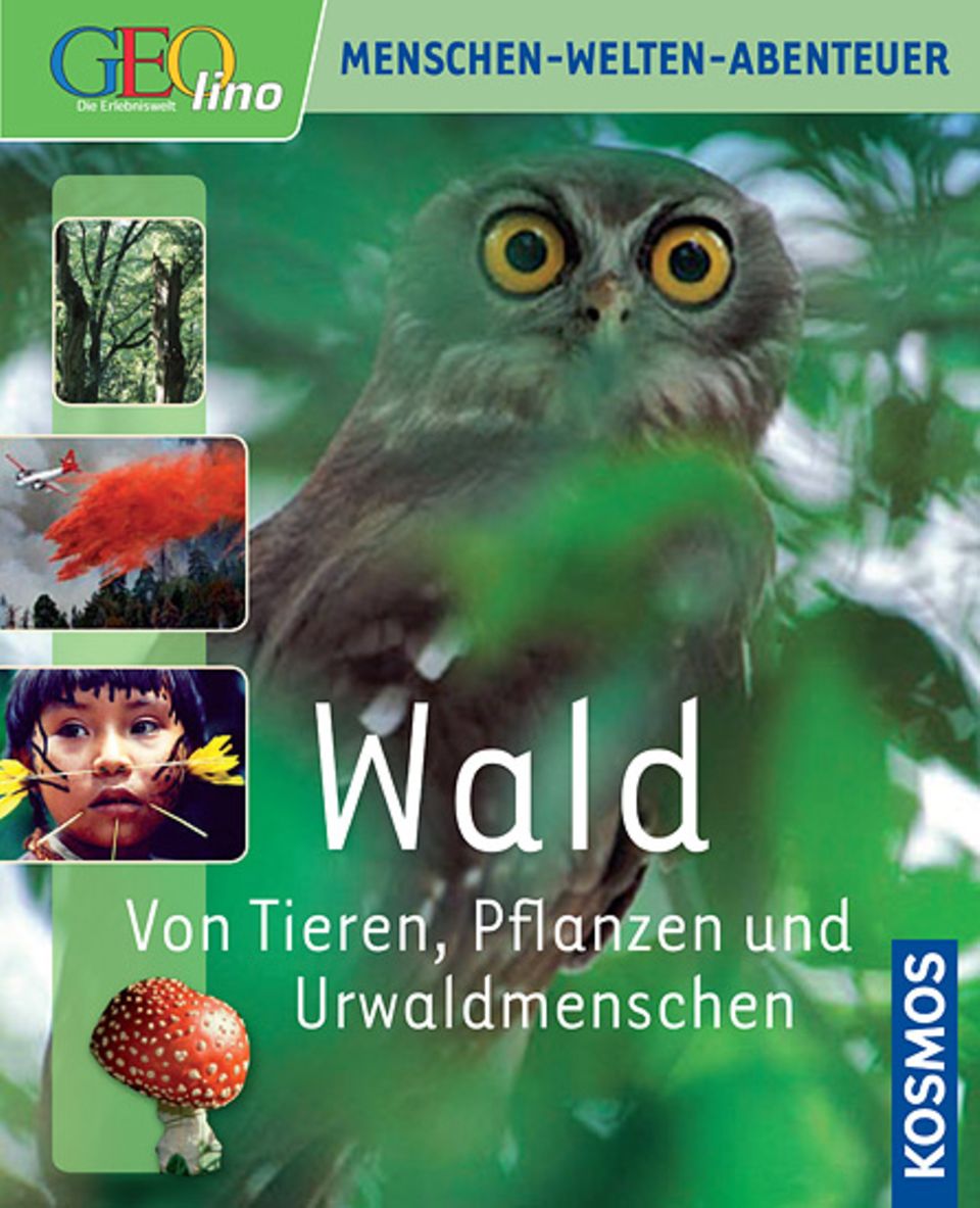 Zu gewinnen: 35 spannende Sachbücher Zu gewinnen: 35 spannende Sachbücher