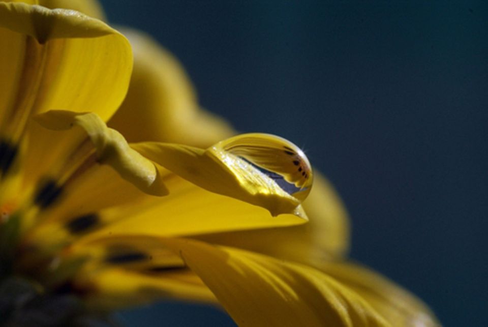 Schiebepuzzle: Nr. 27: Reflexion Schiebepuzzle: Nr. 27: Reflexion