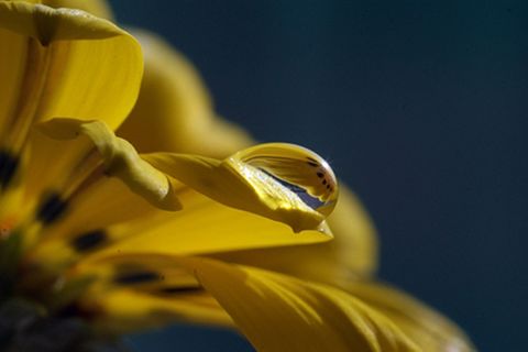 Schiebepuzzle: Reflexion