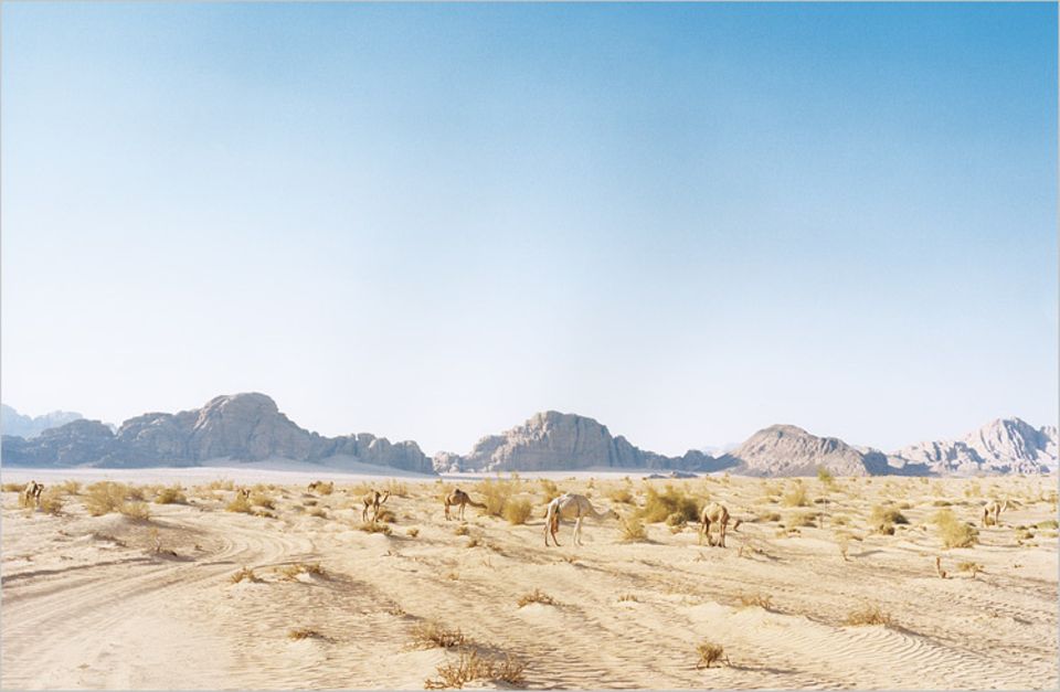 Eine Landschaft von Breitwand-Format: Vor 47 Jahren zog der Filmstar Peter O'Toole als legendärer Kriegsheld Lawrence von Arabien durch die Felsenszenerie des Wadi Rum im Süden des Landes Eine Landschaft von Breitwand-Format: Vor 47 Jahren zog der Filmstar Peter O'Toole als legendärer Kriegsheld Lawrence von Arabien durch die Felsenszenerie des Wadi Rum im Süden des Landes