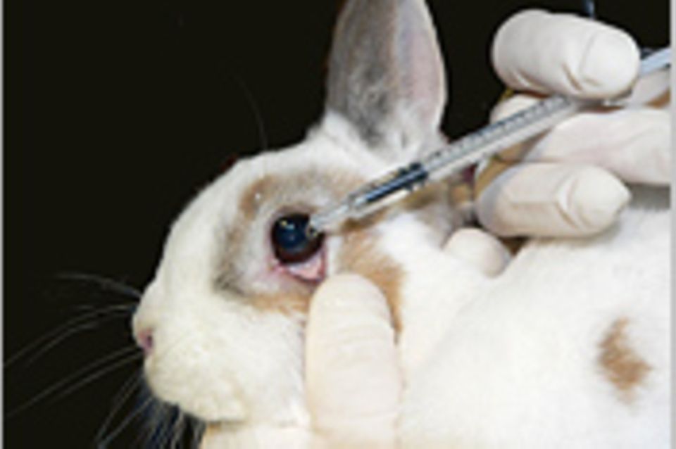 Kosmetik ohne Tierversuche: "Das ist ein Meilenstein"
