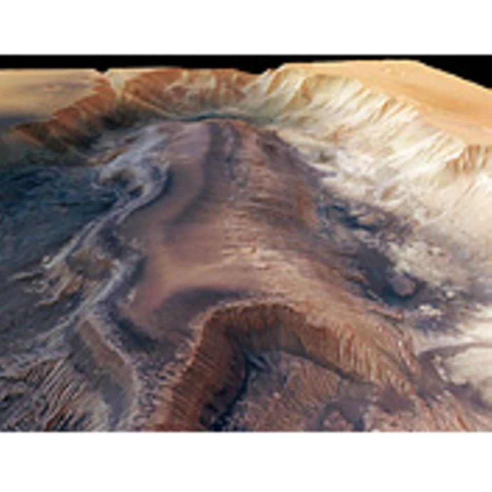 Astrobiologie: Unsere Verwandten im All