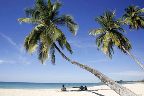 Schiebepuzzle: Palmenstrand