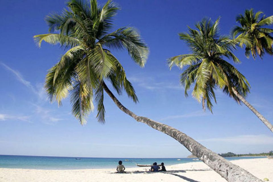 Schiebepuzzle: Palmenstrand