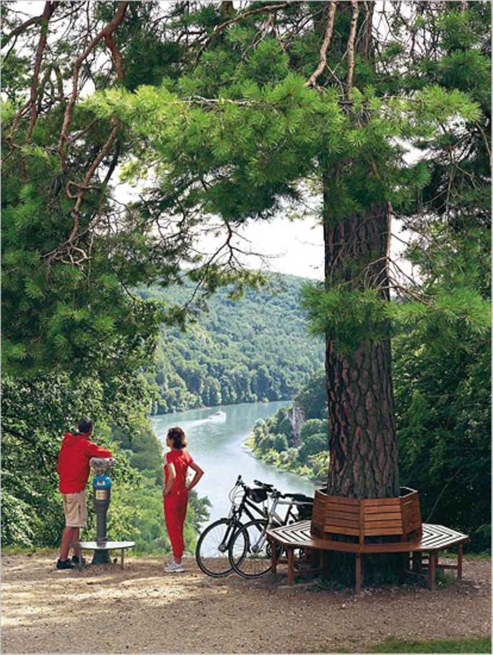 Weitblick aufs Donautal vom Michelsberg