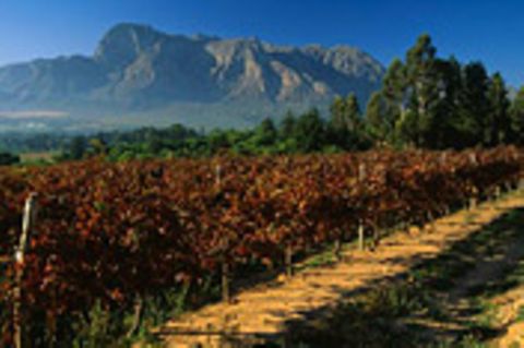 Südafrika: Weinrouten