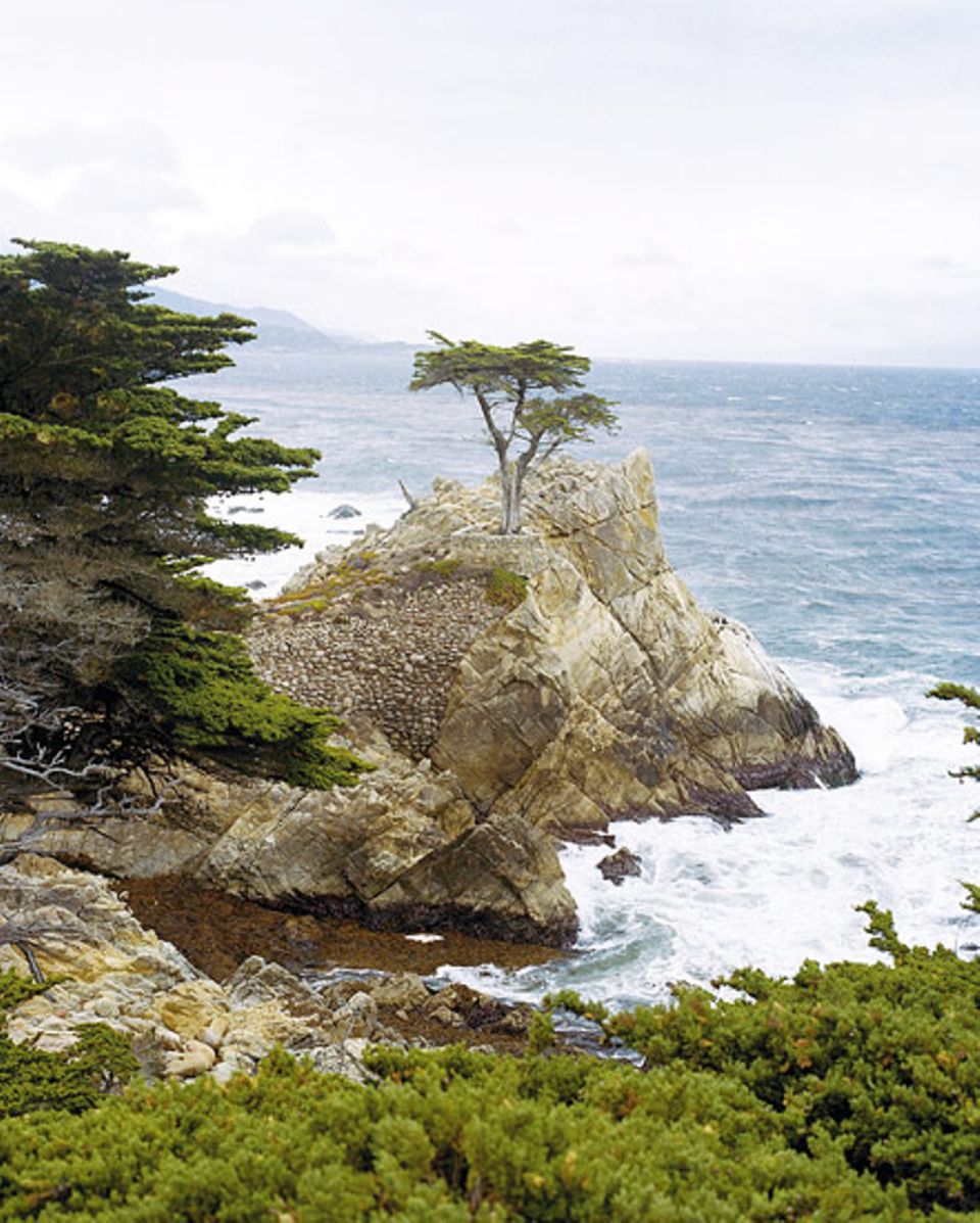 Ein Motiv für Tuschezeichner: die kleine Bucht nahe Monterey Ein Motiv für Tuschezeichner: die kleine Bucht nahe Monterey
