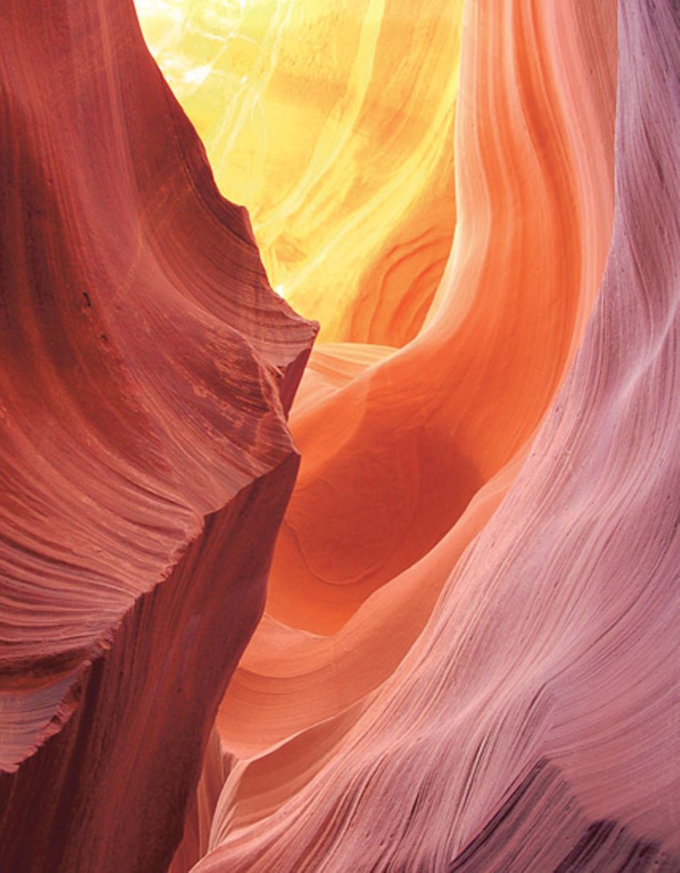 Honiggelb bis violett glüht der Sandstein im Lower Antelope Canyon in Arizona. Sandra Dengler aus Möckern zwängte sich zur rechten Zeit durch die enge Schlucht: Nur im Sommer und nur mittags scheint die Sonne so tief in den Canyon. Mit diesem Bild hat sie den Online-Wettbewerb auf GEO.de im Juni gewonnen