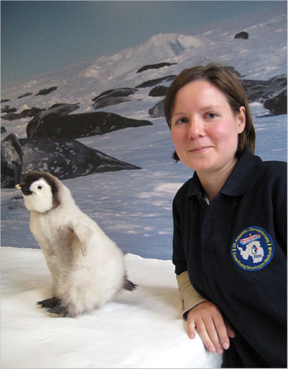 Die Geophysikerin Heidi Turpeinen macht Bekanntschaften mit Pinguinen Die Geophysikerin Heidi Turpeinen macht Bekanntschaften mit Pinguinen