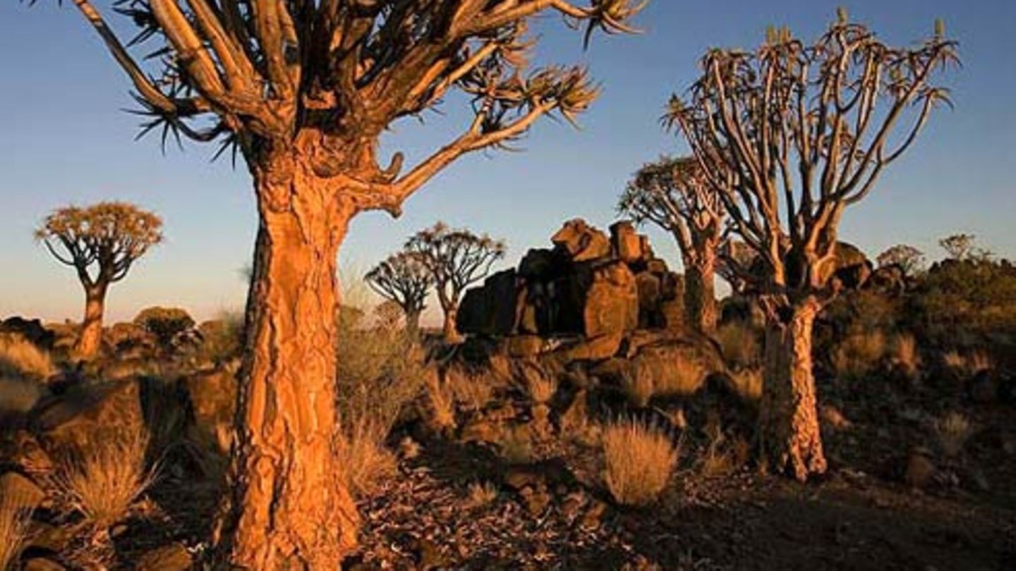 Nr. 102 Namibia [GEO]