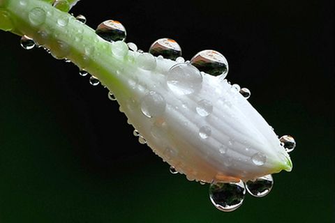 Schiebepuzzle: Regentropfen