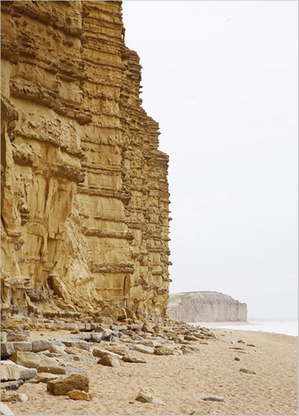 An den Klippen der West Bay studieren Geologen aus aller Welt die Spuren der Erdzeitalter