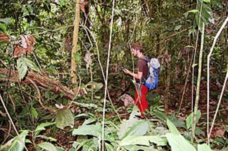 Bei der Arbeit: Bewaffnet mit dem GPS-Gerät und einer Machete ging es in den Dschungel. Bei der Arbeit: Bewaffnet mit dem GPS-Gerät und einer Machete ging es in den Dschungel.