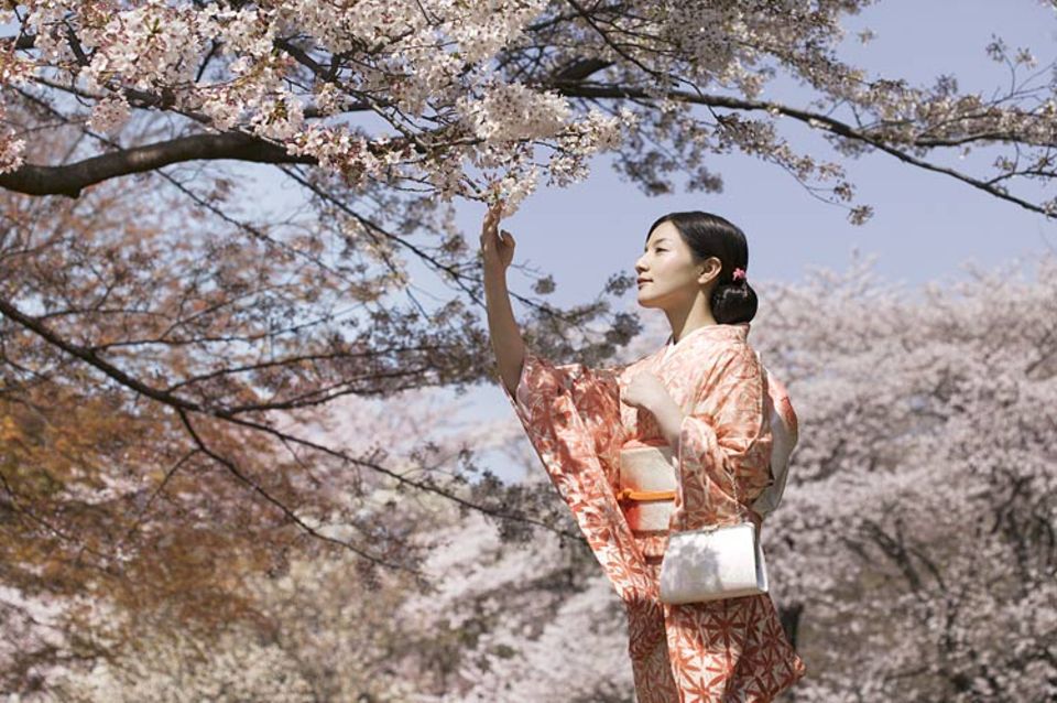 Ein echter Hingucker: Frauen im traditionellen Seidenkimono