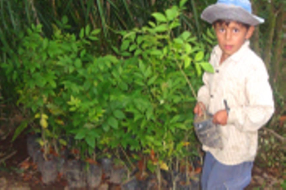 Aufforstung des Wassereinzugsgebietes von El Paraíso, Intag, Ecuador