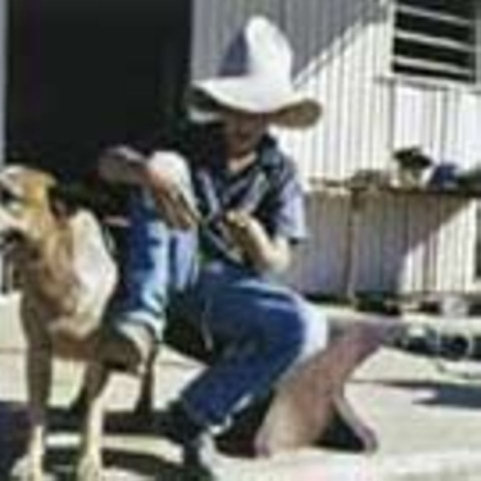 Beruf: Cowboy