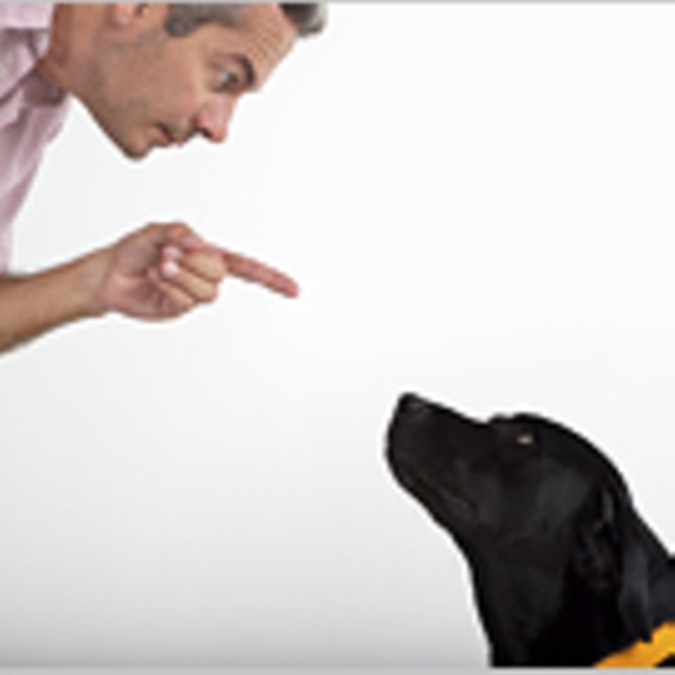 Können Hunde Gedanken lesen?
