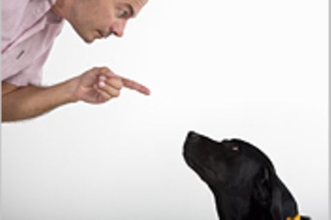Können Hunde Gedanken lesen?