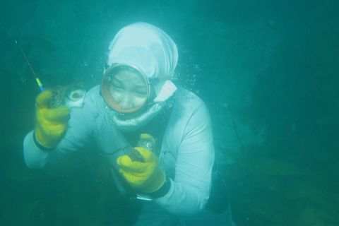 Die Meerfrauen von Japan