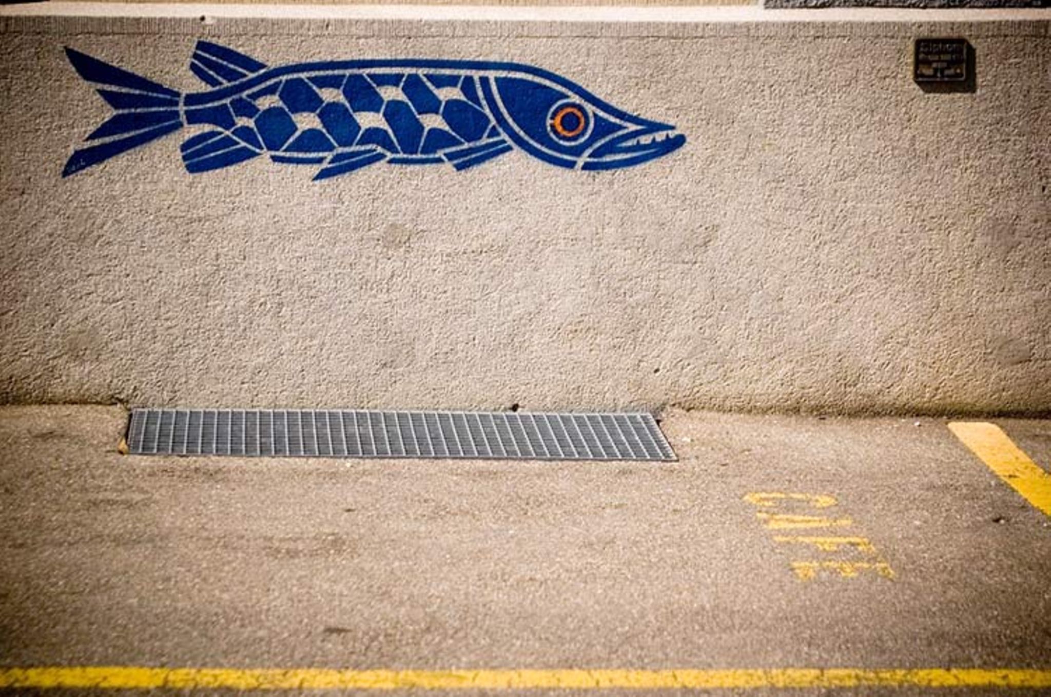 "Es zieht wie Hechtsuppe: Die Bedeutung hinter der Redewendung"