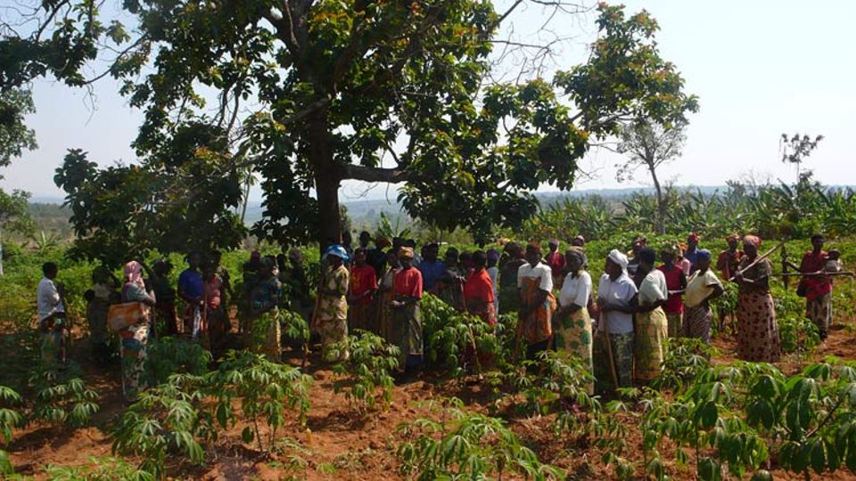 Eine Frauenkooperative in Bugasera, Ruanda; während einer Arbeitspause. Frauen, deren Männer im Genozid ermordet wurden arbeiten hier mit Frauen zusammen, deren Männern selber Täter waren Eine Frauenkooperative in Bugasera, Ruanda; während einer Arbeitspause. Frauen, deren Männer im Genozid ermordet wurden arbeiten hier mit Frauen zusammen, deren Männern selber Täter waren