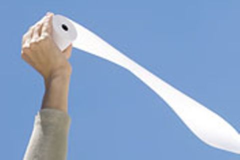 Das Grüne Gewissen: Umweltsünde Toilettenpapier?