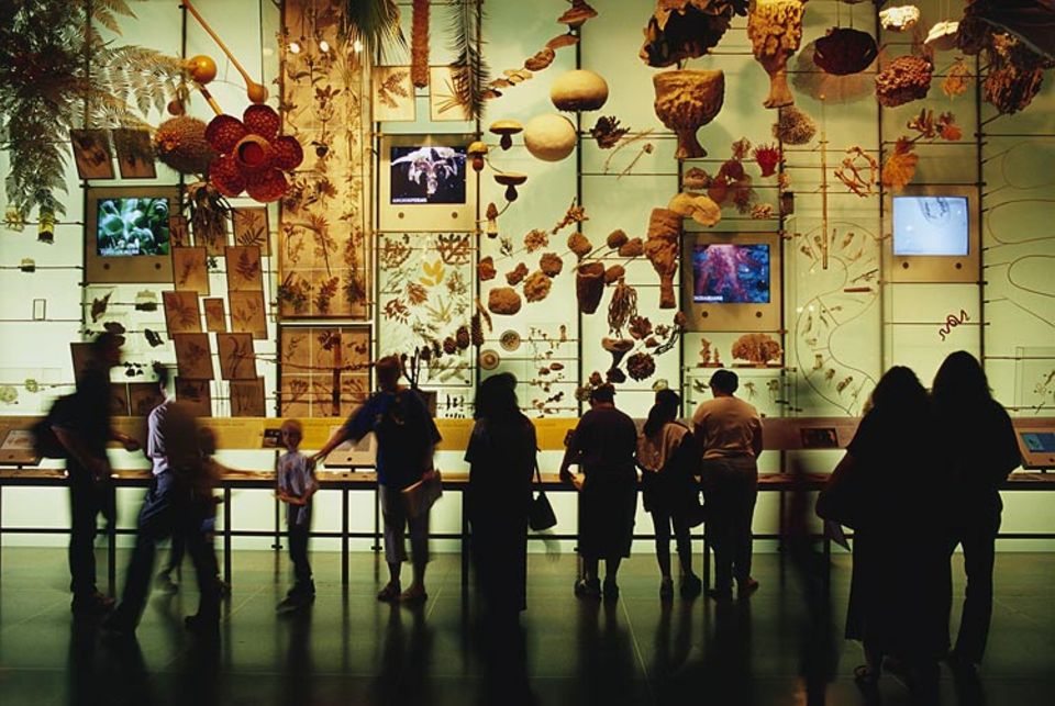 Die "Halle der Biodiversität" im American Museum of Natural History Die "Halle der Biodiversität" im American Museum of Natural History