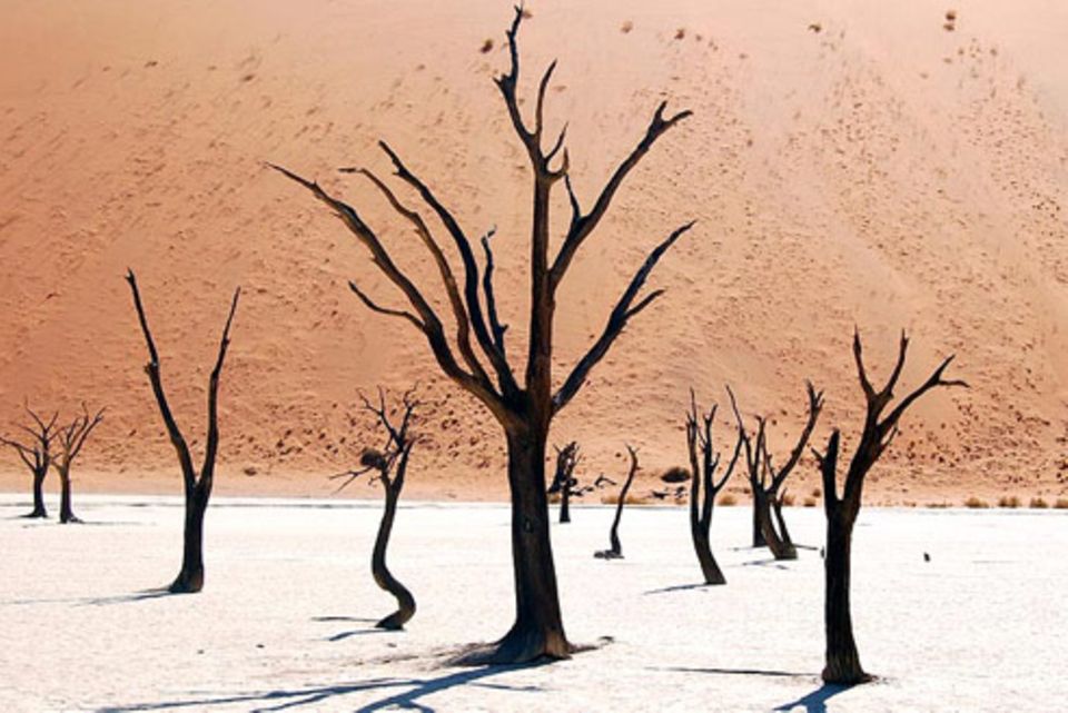 Nr. 181: Dead Vlei in Namibia Nr. 181: Dead Vlei in Namibia