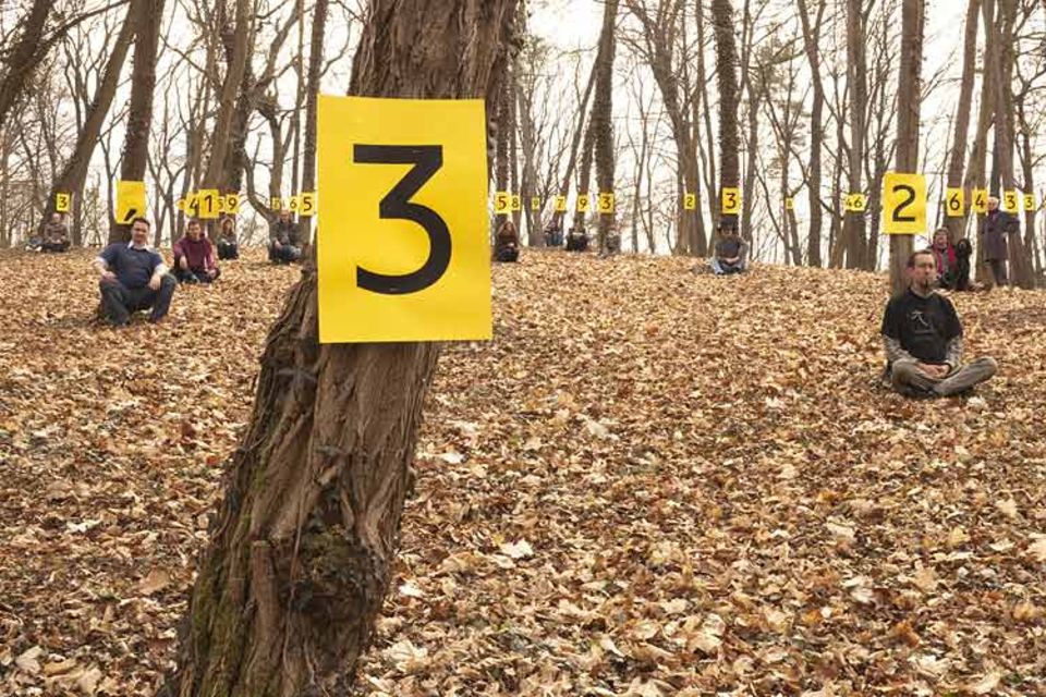 Die Zahl im Wald an lauter Bäumen sehen: Pi-aner mit ihrer wundersamen Ziffernfolge bei Nörten-Hardenberg