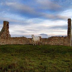 Schiebepuzzle: Schottischer Pferdestall
