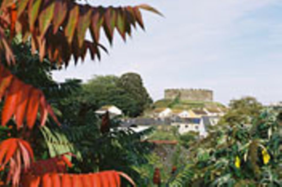 Transition Town: Testfall Totnes