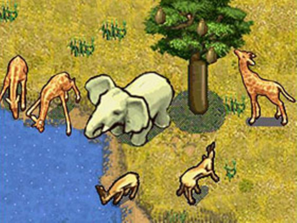 Spieletest: "Ab nach Afrika!" Spieletest: "Ab nach Afrika!"