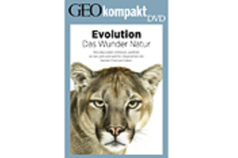 Evolution: GEOkompakt-DVD: Evolution